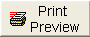 Print Preview Button